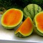 Orange Tendersweet Watermelon 20 PCS Seeds