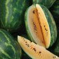 Orange Tendersweet Watermelon 20 PCS Seeds