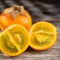 Orange Naranjilla Solanum Quitoense Fruit 100 PCS Seeds