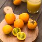 Orange Naranjilla Solanum Quitoense Fruit 100 PCS Seeds