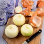 Onion Large White Vegetable 2000 PCS Seeds