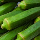 Okra Dark Green Shot Gumbo Vegetables 300 PCS Seeds