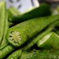 Okra Dark Green Shot Gumbo Vegetables 300 PCS Seeds