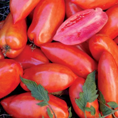 'Opalka' Organic Polish Heirloom Tomato 100 PCS Seeds