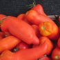 'Opalka' Organic Polish Heirloom Tomato 100 PCS Seeds