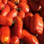 'Opalka' Organic Polish Heirloom Tomato 100 PCS Seeds