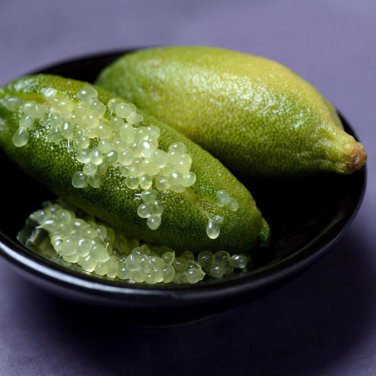 Novel Finger Limes Citrus Pomegranate Bonsai Delicious Sweet Fruit 20 PCS Seeds