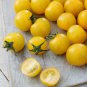 'Yellow Saint' Cherry Tomatoes 200 PCS Seeds