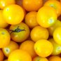 'Yellow Saint' Cherry Tomatoes 200 PCS Seeds