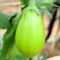 Xi'an Green Allure Unveiling the Green Eggplant 300 PCS Seeds