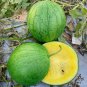 'Xiaolan Peeling' Series Watermelon 20 PCS Seeds