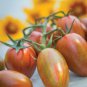 'Strawberry' Tomatoes 100 PCS Seeds
