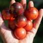 'Strawberry Fruit' Tomatoes Perfectly Balanced Flavor 100 PCS Seeds