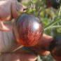 'Strawberry Fruit' Tomatoes Perfectly Balanced Flavor 100 PCS Seeds