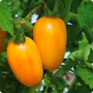 'Radiant Gold' Yellow Tomatoes 200 PCS Seeds