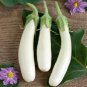 White Long Eggplant Pure White Skin and Flesh 300 PCS Seeds