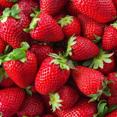 'Medelet' Series Red Strawberry 200 PCS Seeds
