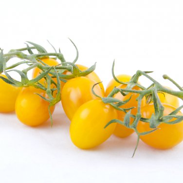 'Imperial Concubine' Yellow Tomatoes 200 PCS Seeds