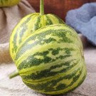 'Flower Fairy' Melon Hybrid F1 Aromatic Sweet Melon 50 PCS Seeds 'Flower Fairy' Melon Hybrid F1 Aromatic Sweet Melon 50 PCS Seeds