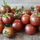 'Daheiren' Black Tomatoes 100 PCS Seeds