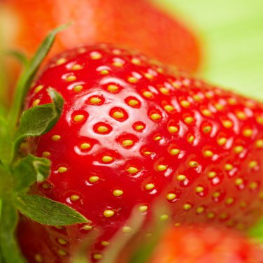 'Akihime' Series Red Strawberry 200 PCS Seeds