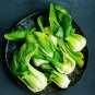 Aoxia No.8 Pak Choi 10 PCS Seeds