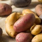 Russian Banana Fingerling Potato Bonsa Organic 100 PCS Seeds