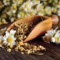 Resilient Chamomile Thriving in Various Soil Types 500 PCS Seeds