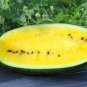 Black Skin Yellow Flesh Watermelon 200 PCS Seeds