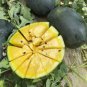 Black Skin Yellow Flesh Watermelon 200 PCS Seeds