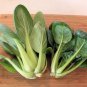 Black Star Pak Choi 10 PCS Seeds