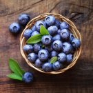 Blueberry 200 PCS Seeds