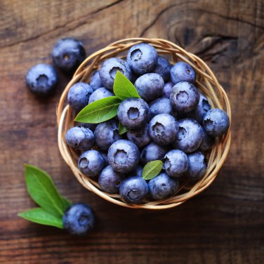 Blueberry 200 PCS Seeds