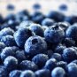 Blueberry 200 PCS Seeds