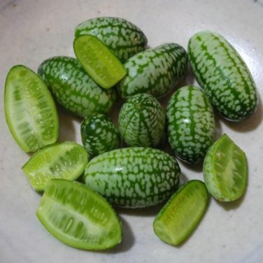 thumb watermelon eat raw mini fruit small watermelon 100 PCS Seeds