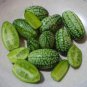 thumb watermelon eat raw mini fruit small watermelon 100 PCS Seeds