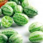 thumb watermelon eat raw mini fruit small watermelon 100 PCS Seeds