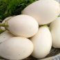 Cultivate Charm 'White Baby' Round Eggplant 100 PCS Seeds