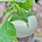 Cultivate Charm 'White Baby' Round Eggplant 100 PCS Seeds