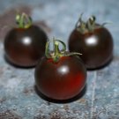 Dwarf Bonsai Black Pearl Tomatoes 100 PCS Seeds