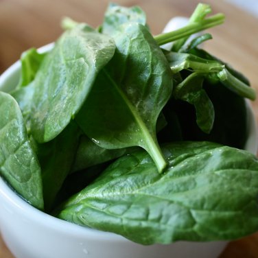 Swift No.9 Spinach 10 PCS Seeds