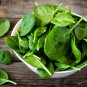 Swift No.9 Spinach 10 PCS Seeds