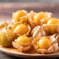 Sweet Tasty Physalis Juicy Fruit Golden Berry 500 PCS Seeds