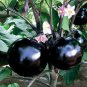 Garden Noir Explore the World of Black Round Eggplant 50 PCS Seeds