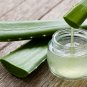Green Aloe Vera Plants Edible Beauty Edible Cosmetic Vegetables 300 PCS Seeds