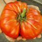 Giant Tomato 100 PCS Seeds