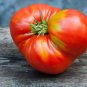 Giant Tomato 100 PCS Seeds