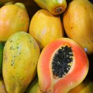 Hybrid Papaya 300 PCS Seeds
