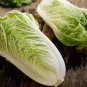 Julie Red No.82 Cabbage F1 1 PCS Seeds