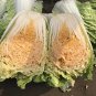Julie Red No.82 Cabbage F1 1 PCS Seeds